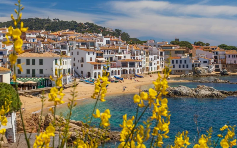 Widok na białe domy i piaszczystą plażę w urokliwym nadmorskim miasteczku na Costa Brava, Hiszpania, z żółtymi kwiatami na pierwszym planie i turkusowym morzem w tle.